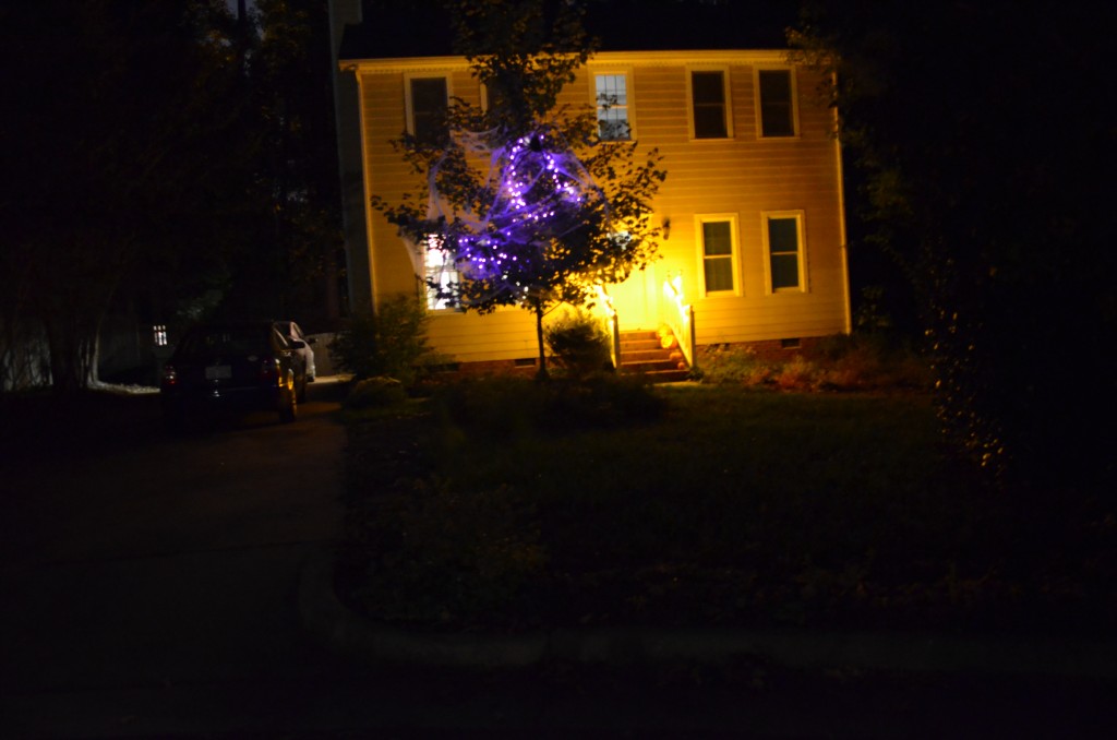 Decorations in the dark. Purple lights in the tree and candy corn lights on our stair railings.
