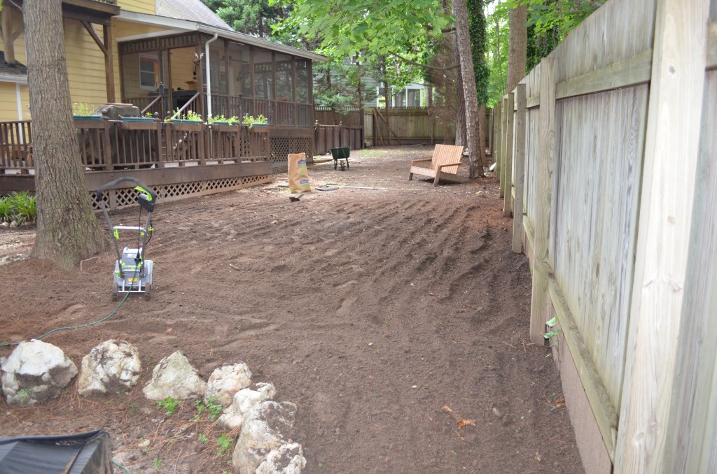 A fresh lawn of dirt to start from.