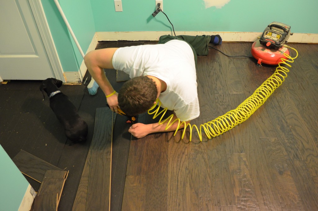 Installing the floors. Dexter continued to wait for something to come out of the closet.